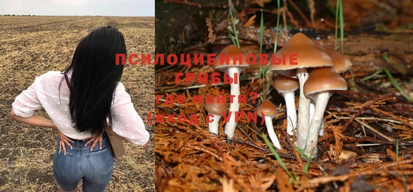 наркотики Алексин