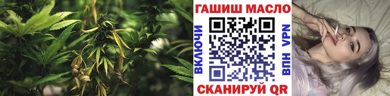 Дистиллят ТГК THC oil  Новая Ладога 