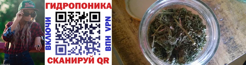 Шишки марихуана Ganja  наркошоп  Новая Ладога 